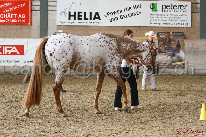 24-ApHC HIH_043.jpg